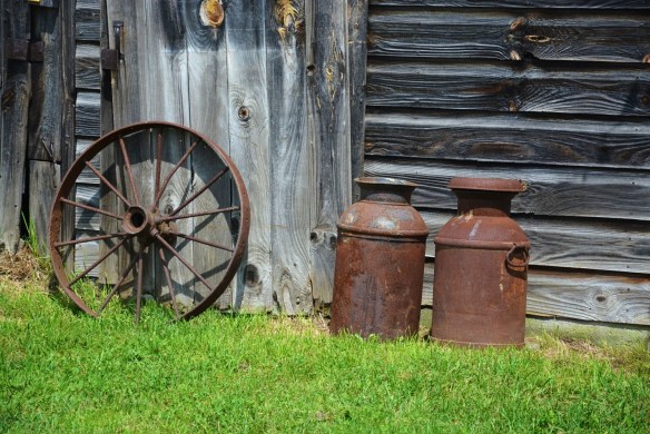 Lin and Michael's Photos