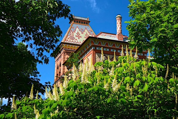 Lin and Michael's Photos