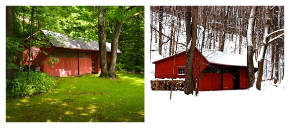 Lyn and Michael's Photos