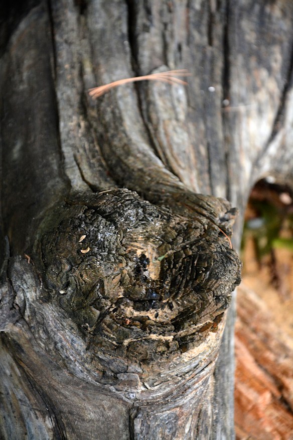 Lin and Michael's Photos 2013