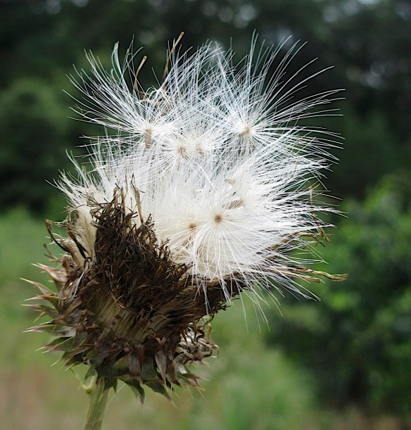 Lin and Michael's Photos