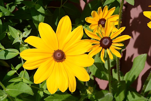 Lin and Michael's Photos