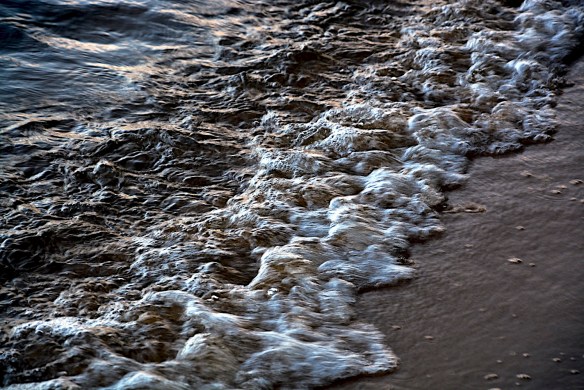 Lin and Michael's Photos