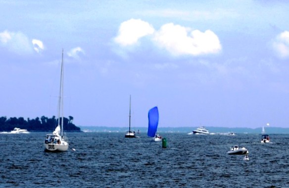 Lin and Michael's Photos