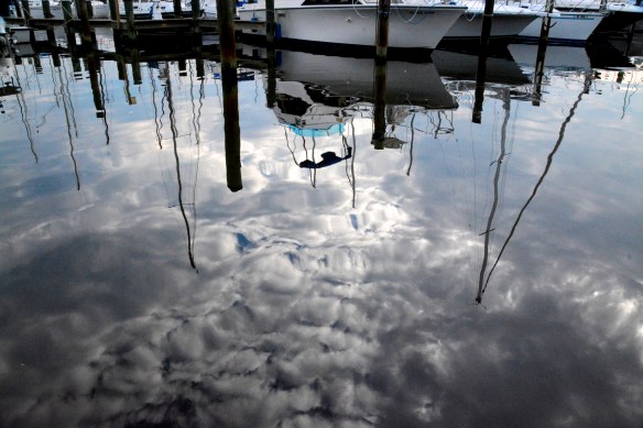 Lin and Michael's Photos