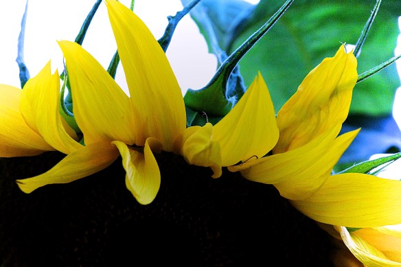 Lin and Michael's Photos