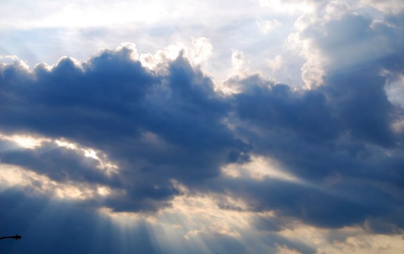 Lin and Michael's Photos