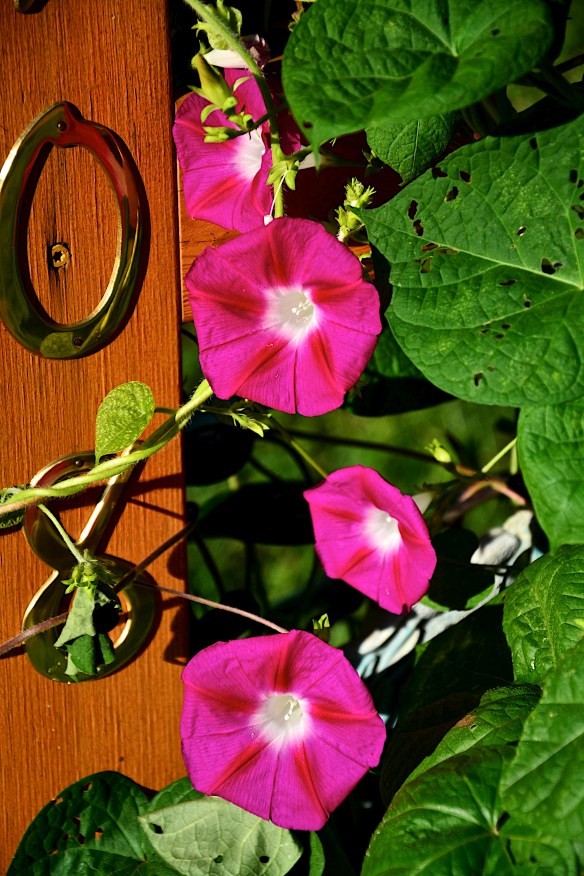 Lin and Michael's Photos