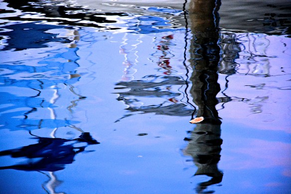 Lin and Michael's Photos