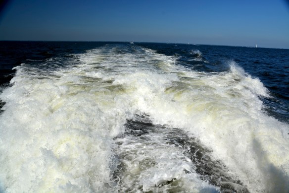 Lin and Michael's Photos