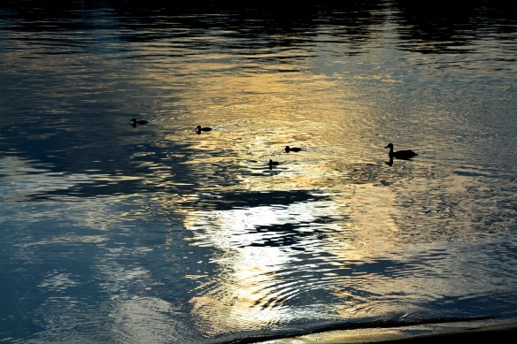 Lin and Michael's Photos