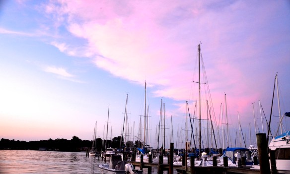 Lin and Michael's Photos