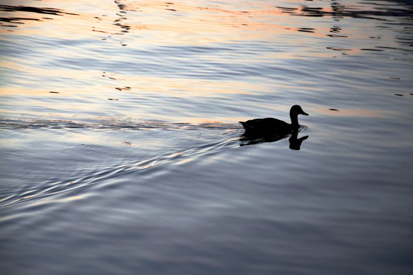 Lin and Michael's Photos