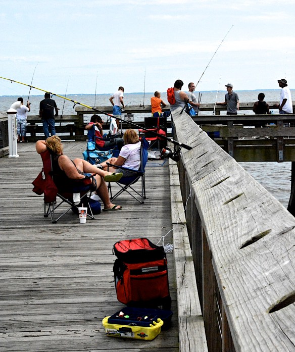 Lin and Michael's Photos