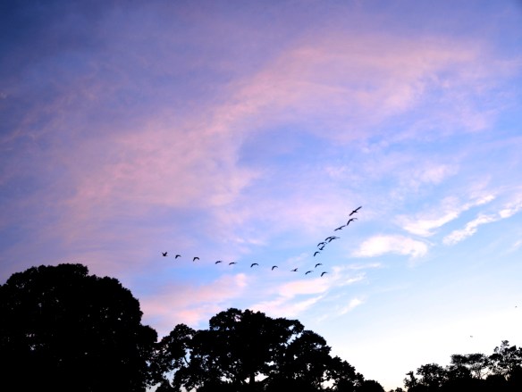 Lin and Michael's Photos