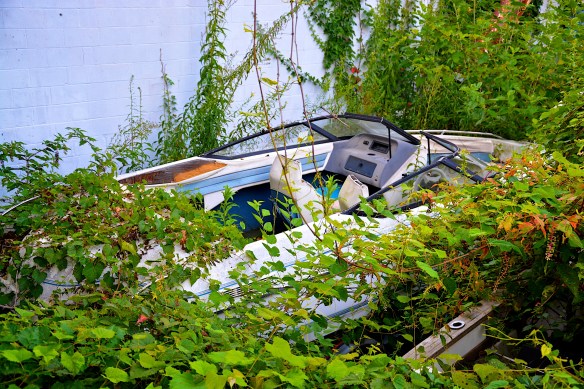 Lin and Michael's Photos