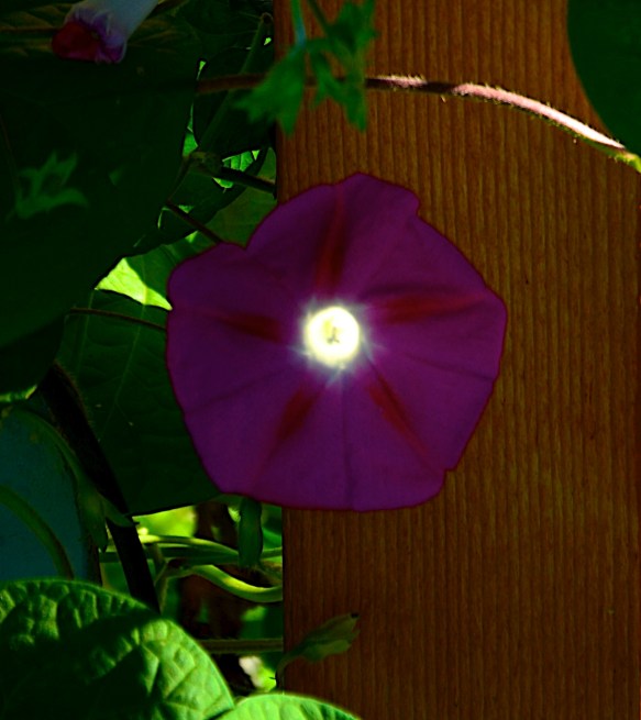 Lin and Michael's Photos