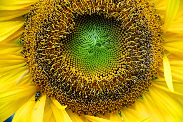 Lin and Michael's Photos