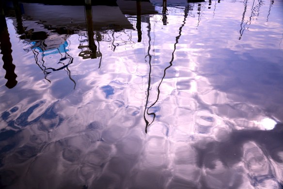 Lin and Michael's Photos