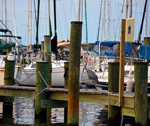 Lin and Michael's Photos