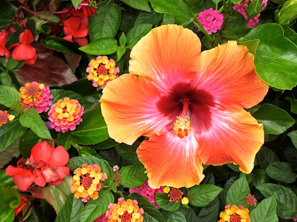 Lin  and Michael's Photos