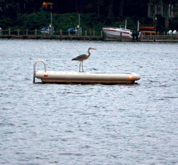 Lin and Michael's Photos