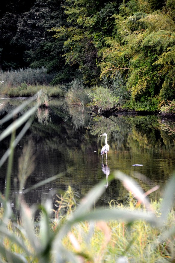 Lin and Michael's Photos