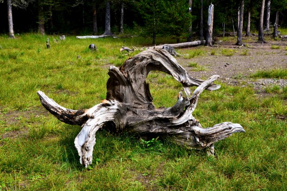 Lin and Michael's Photos