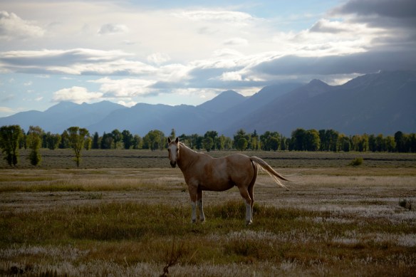 Lin and Michael's Photos