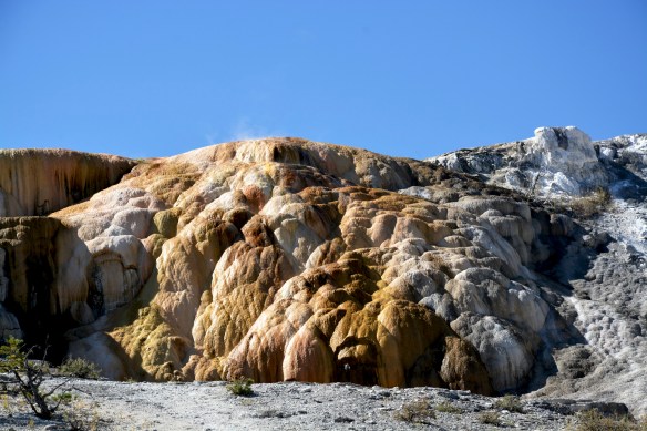 Lin and Michael's Photos