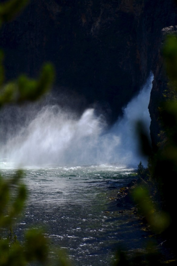 Lin and Michael's Photos