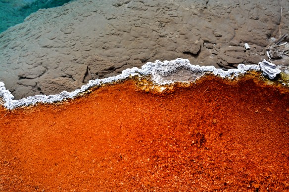 Lin and Michaels Photos