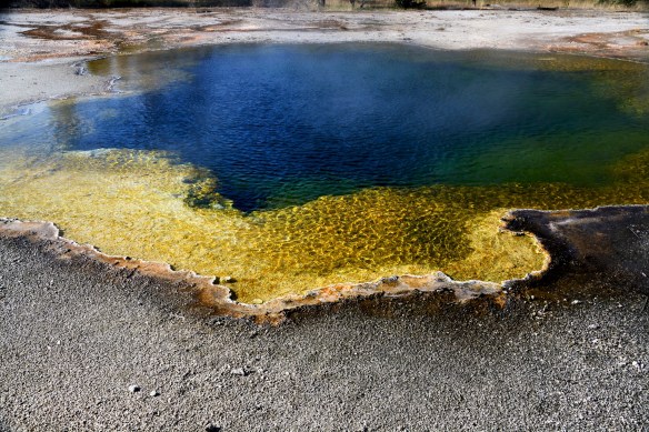 Lin and Michael's Photos