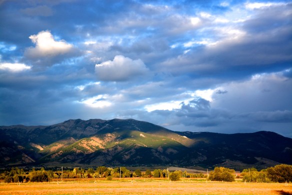 Lin and Michael's photos