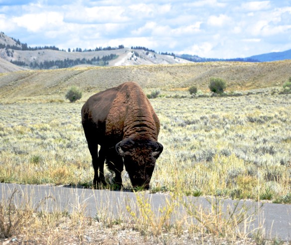 Lin and Michael's Photos 