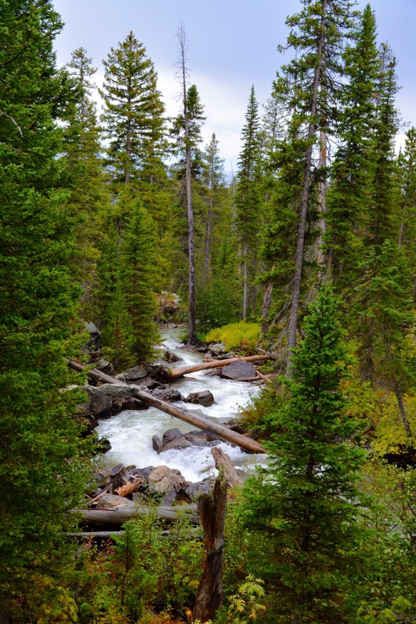 Lin and Michael's Photos