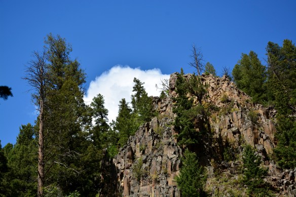 Lin and Michael's Photos