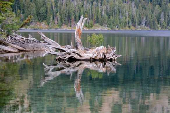 Lin and Michael's Photos