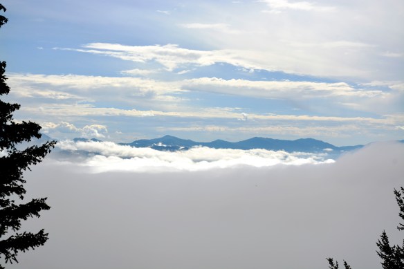 Lin and Michael's Photos