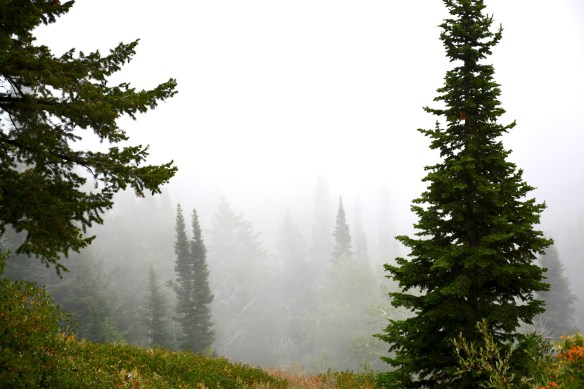 Lin and Michael's Photos