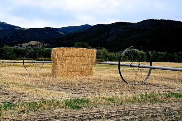 Lin and Michael's Photos