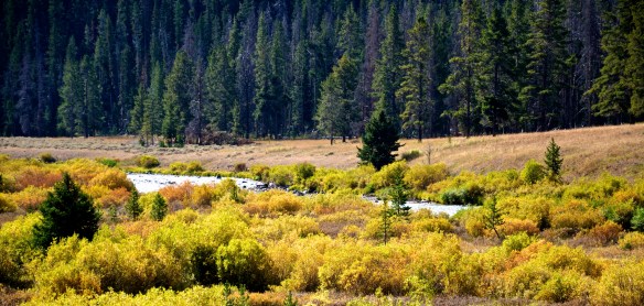 Lin and Michael's Photos