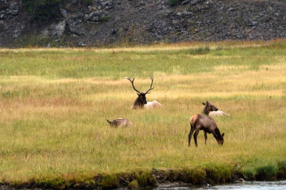 Lin and Michael's Photos