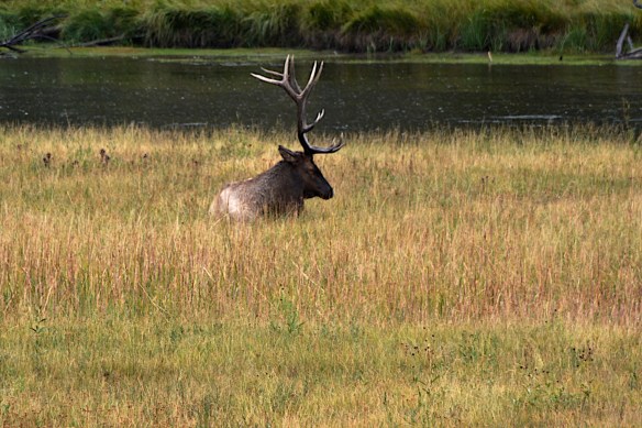 Lin and Michael's Photos