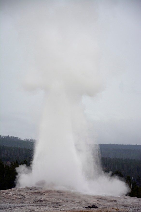 Lin and Michael's Photos