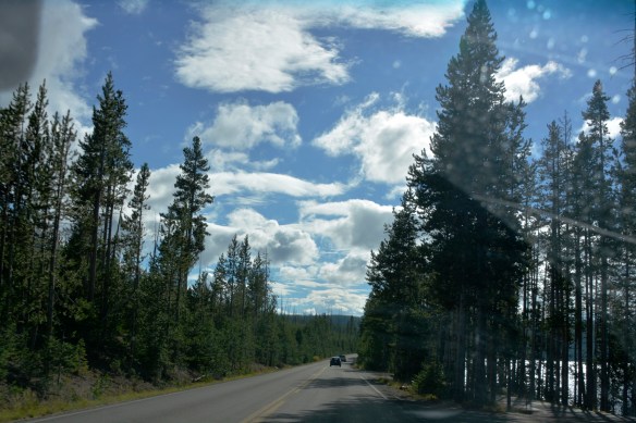 Lin and Michael's Photos