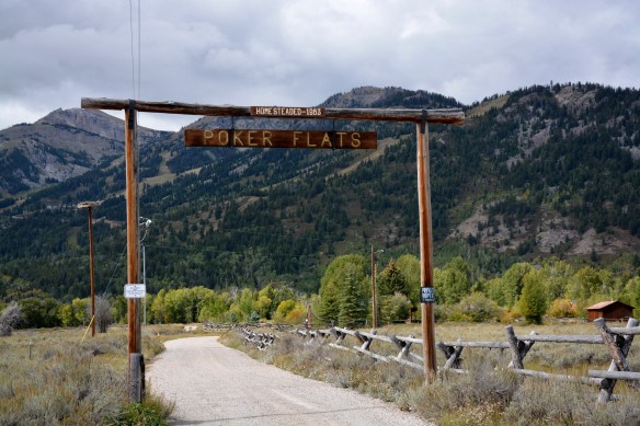 Lin and Michael's Photos