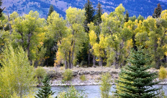 Lin and Michael's Photos