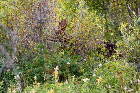 Lin and Michael's Photos