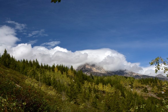 Lin and Michael's Photos